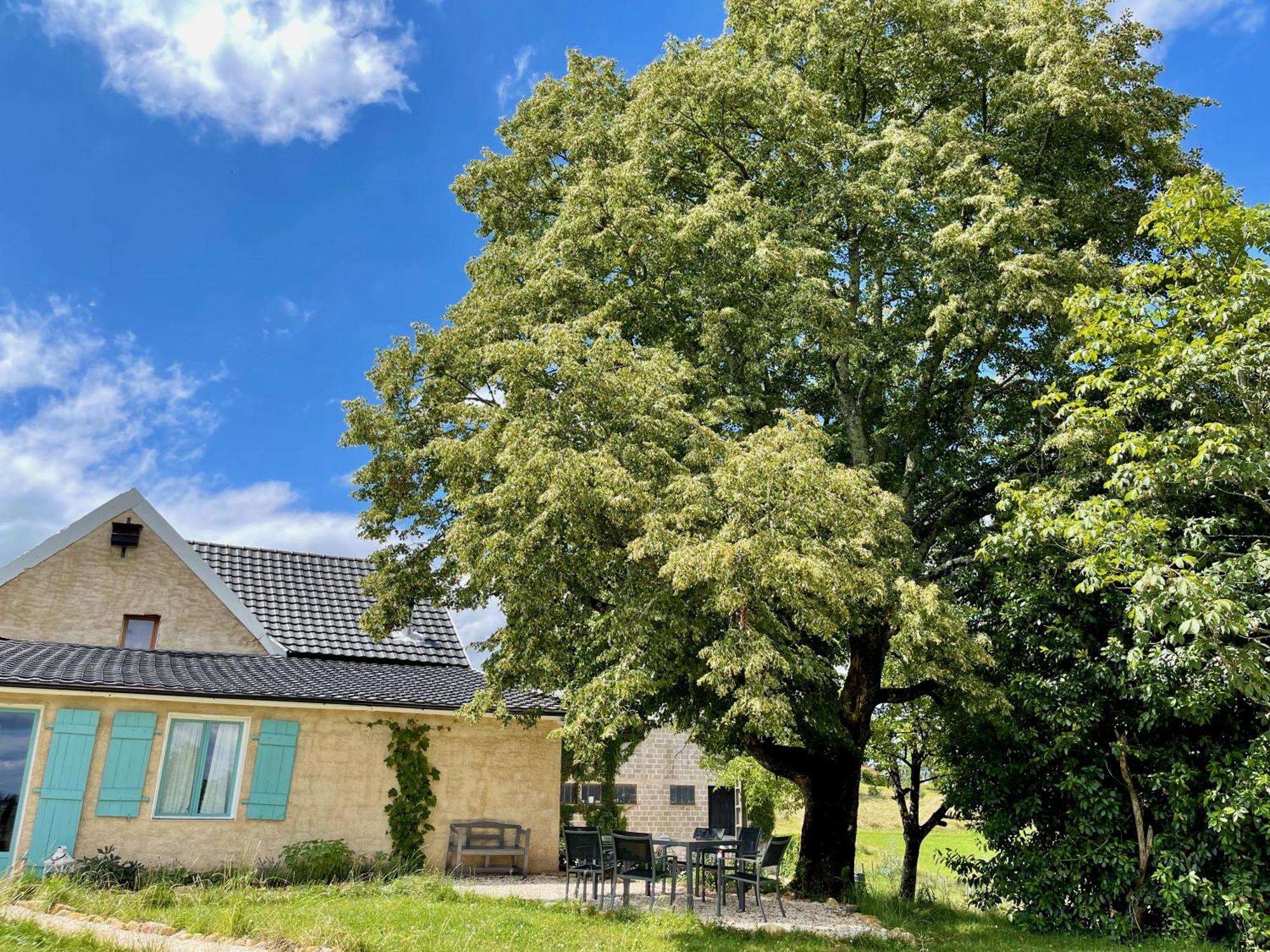 Willa La Belle Petite Ferme Rosiers De Julliac 19350 Le Bos Zewnętrze zdjęcie