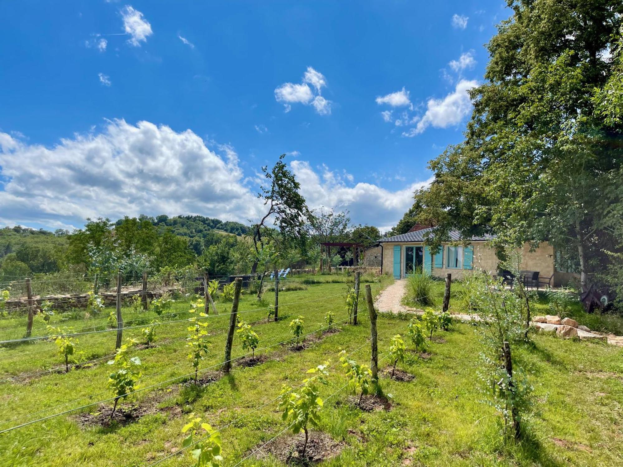 Willa La Belle Petite Ferme Rosiers De Julliac 19350 Le Bos Zewnętrze zdjęcie